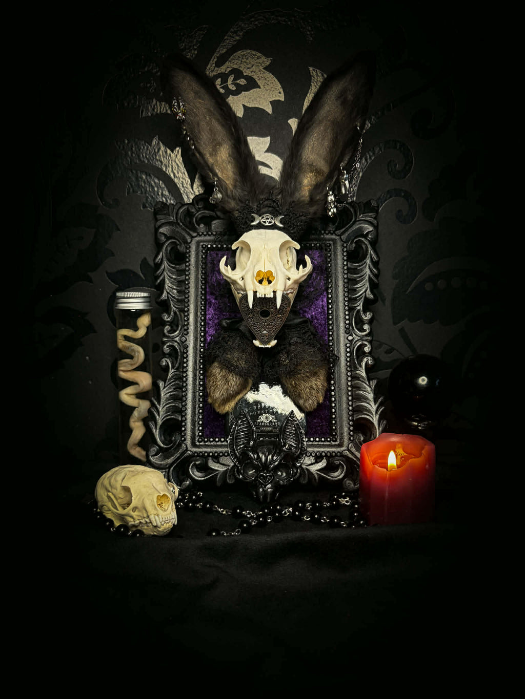 Bunny Kitten — handmade gothic shadowbox, made to order. Real cat skull with preserved bunny ears and paws, set on velvet background in ornate hand-finished frame with lace and decorative details. Dark whimsical collectible decor.