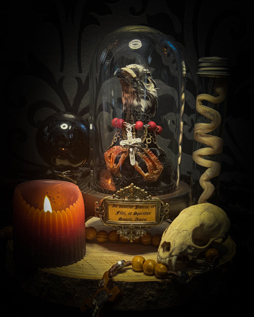 Handmade gothic glass dome with mummified pigeon head and feet, gold lace, rose rosary and ornate base — Ave Maria by Morbid Oddities