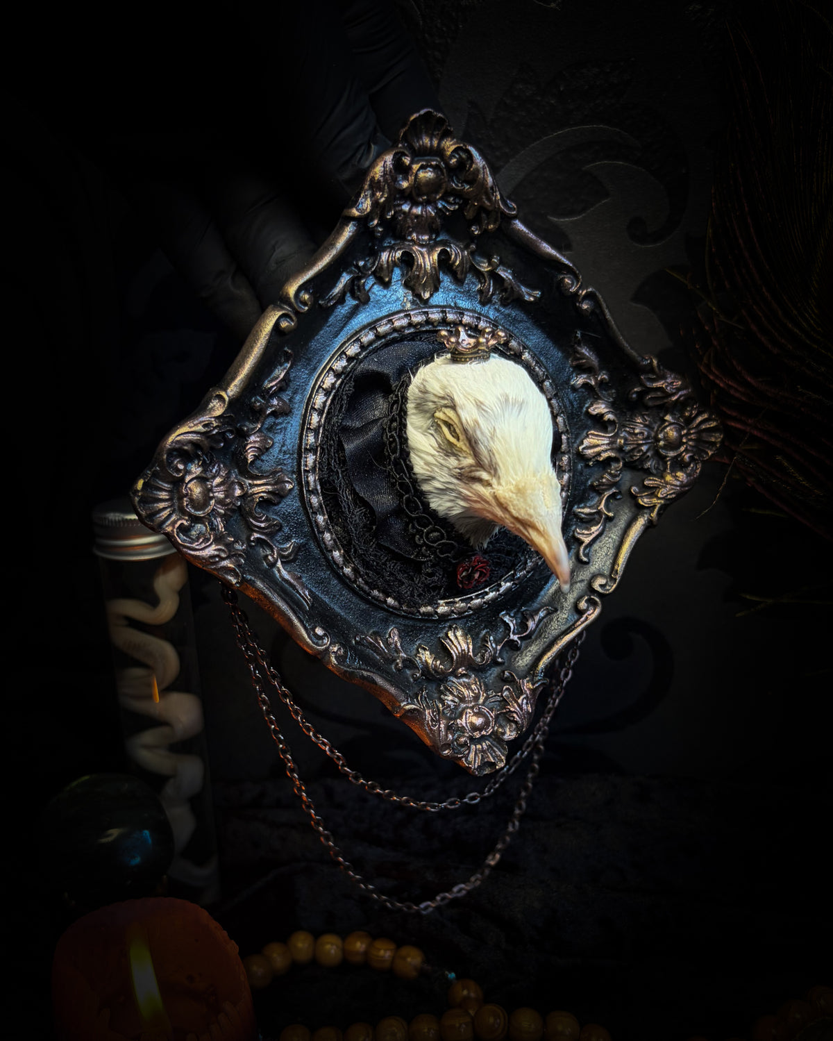 The Dapper Gentleman | Gothic — handmade gothic frame with mummified pigeon head, lace, chains and rose gold accents