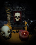 Memento parvum — handmade gothic skull shadowbox, baroque ornate frame, red velvet, dark altar decor, made to order, Morbid Oddities
