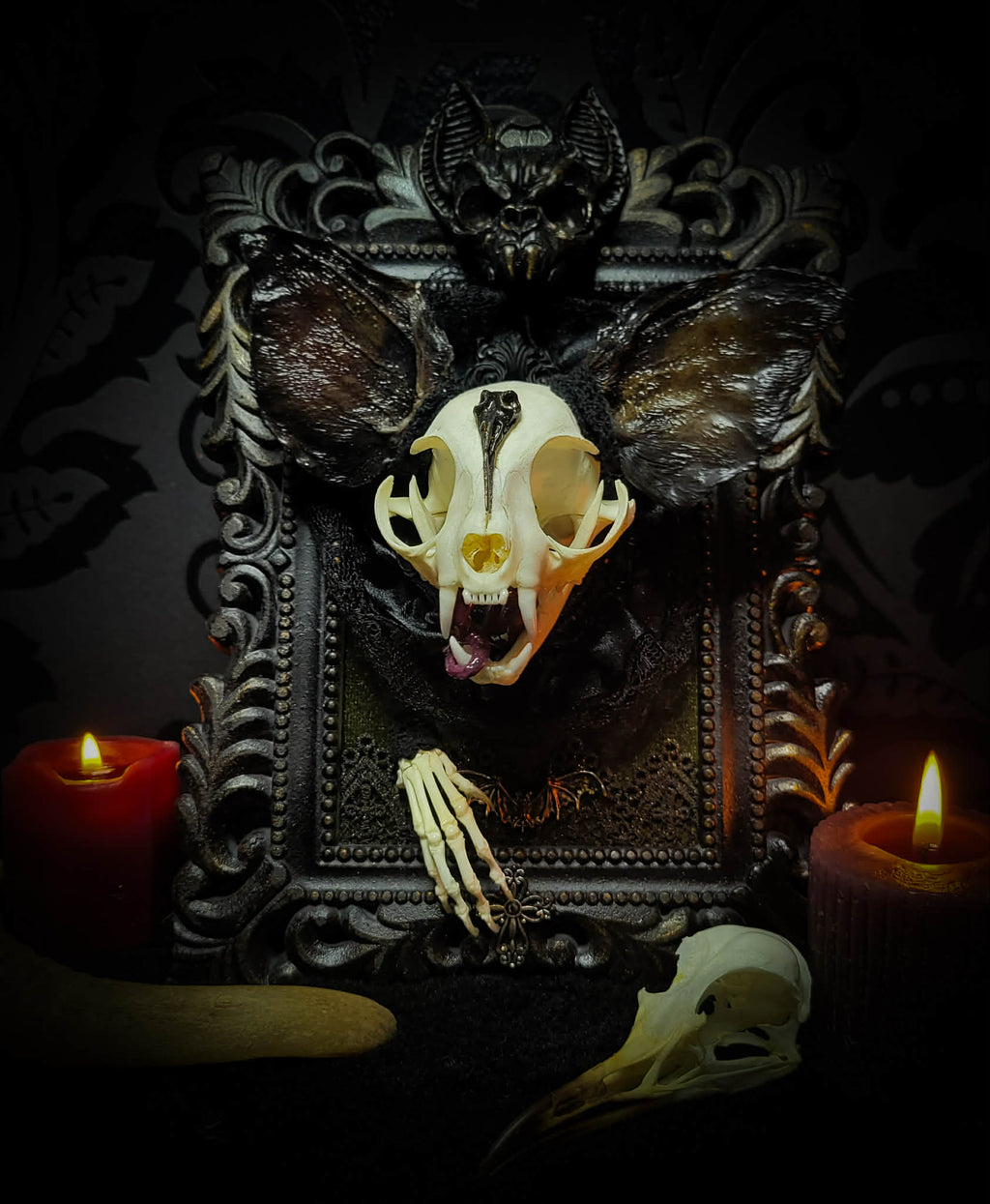 Bunny Kitten — handmade gothic shadowbox, made to order. Real cat skull with preserved bunny ears and paws, set on velvet background in ornate hand-finished frame with lace and decorative details. Dark whimsical collectible decor.