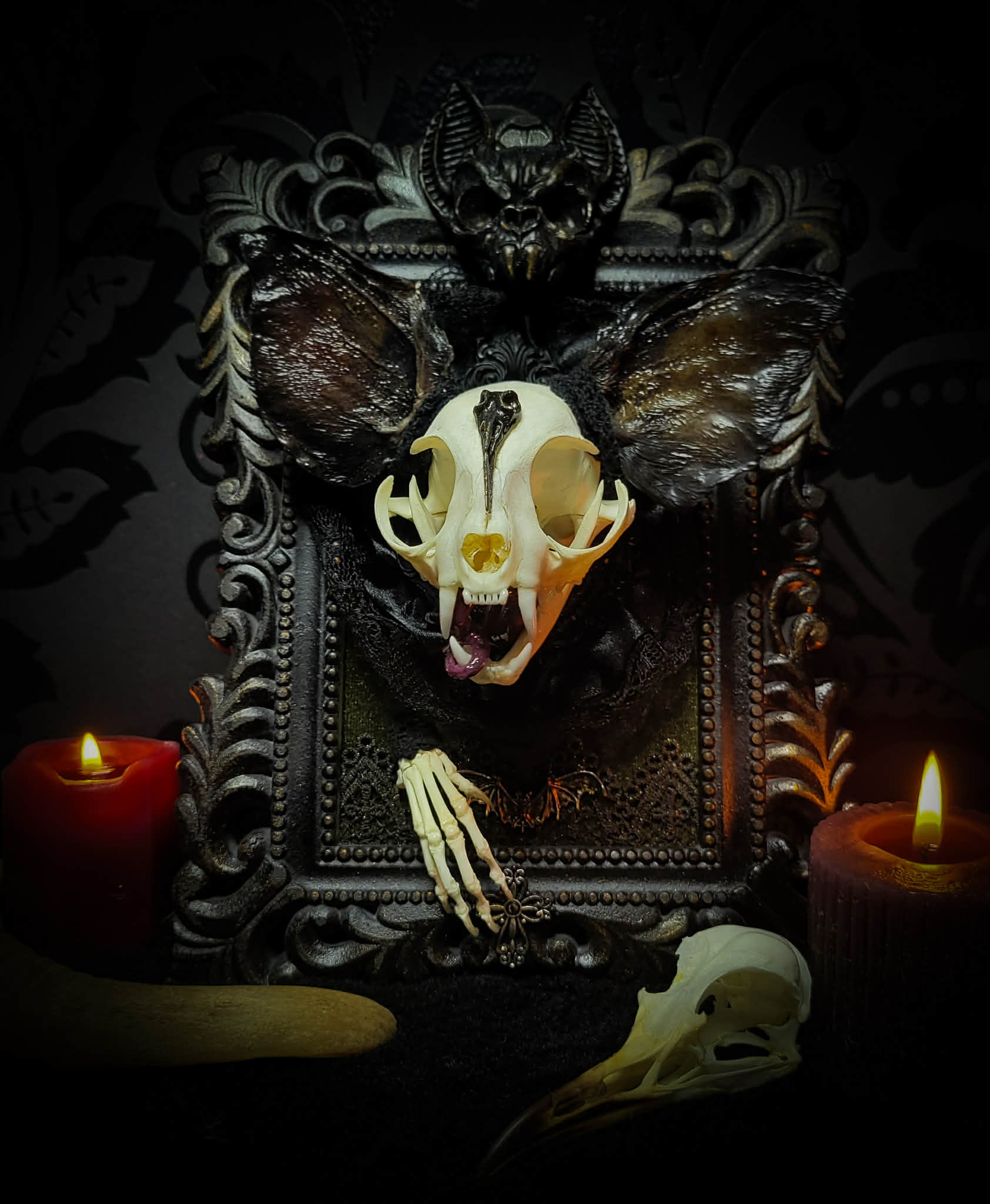 Bunny Kitten — handmade gothic shadowbox, made to order. Real cat skull with preserved bunny ears and paws, set on velvet background in ornate hand-finished frame with lace and decorative details. Dark whimsical collectible decor.