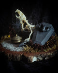 Abandoned Cemetery — handmade gothic display, real rat skeleton, hand-cast coffin, crow skull, birch wood base, forest elements, one of a kind, Morbid Oddities
