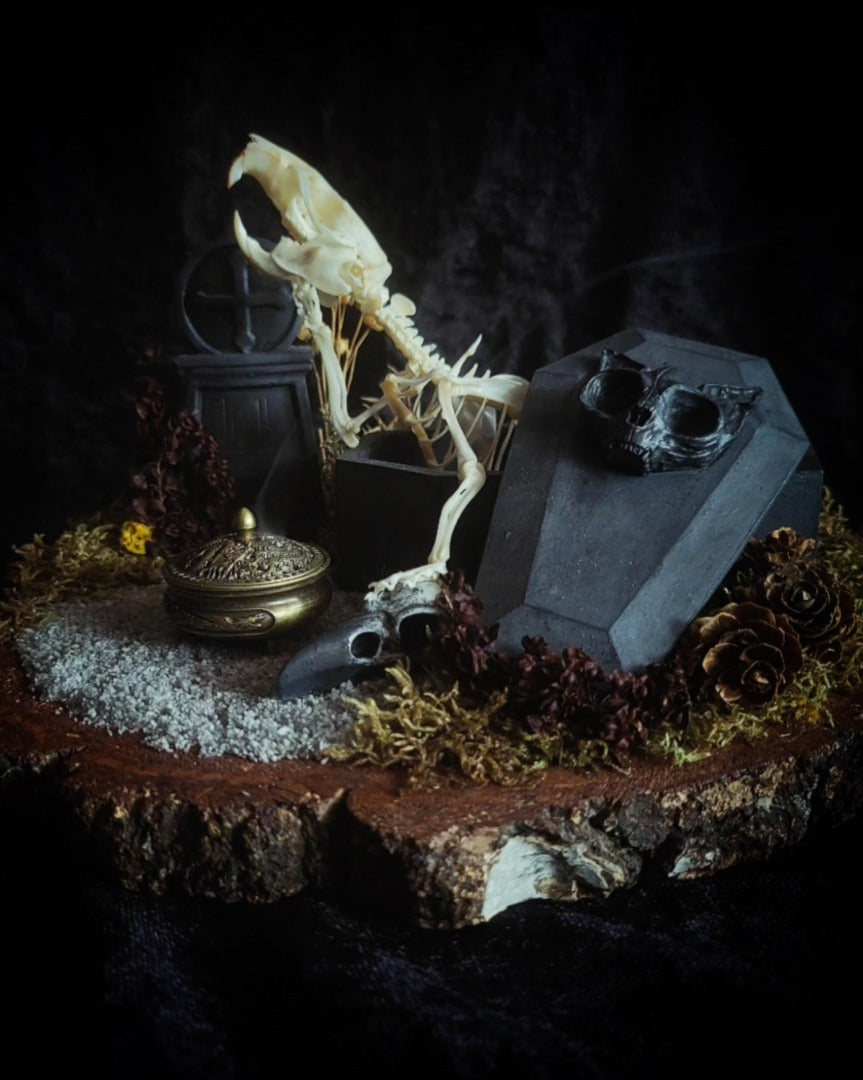 Abandoned Cemetery — handmade gothic display, real rat skeleton, hand-cast coffin, crow skull, birch wood base, forest elements, one of a kind, Morbid Oddities
