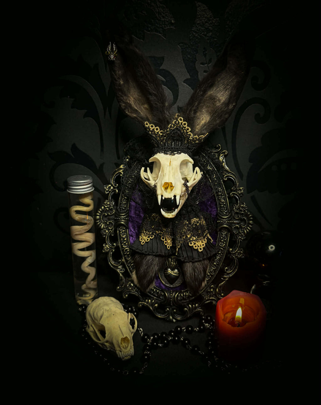 Bunny Kitten — handmade gothic shadowbox, made to order. Real cat skull with preserved bunny ears and paws, set on velvet background in ornate hand-finished frame with lace and decorative details. Dark whimsical collectible decor.