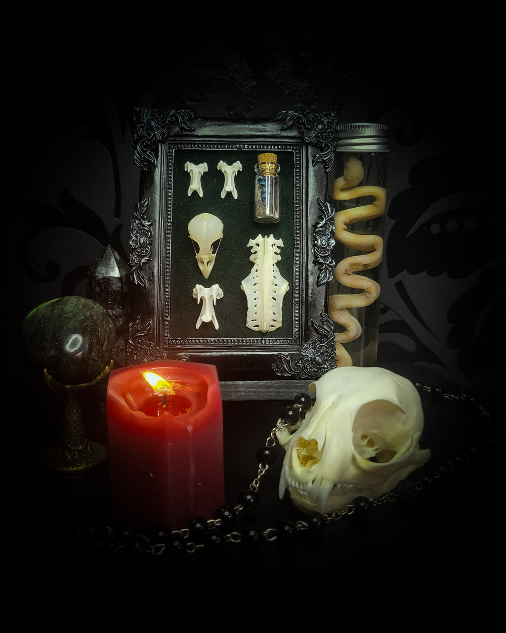 handmade gothic shadowbox bird skull vertebrae feathers green velvet hand-cast frame dark wall decor