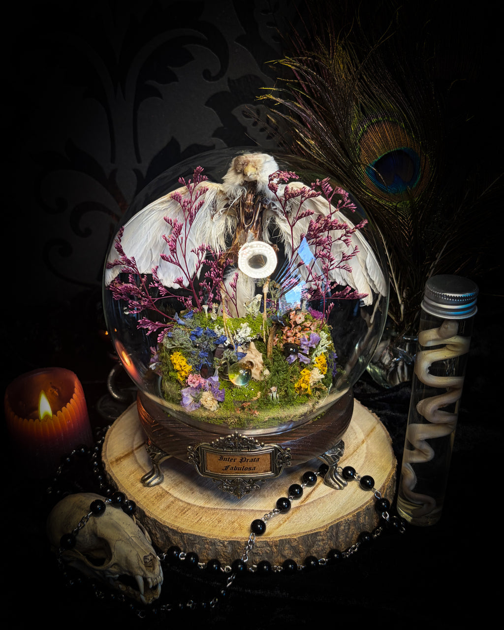 Inter Prata Fabulosa — handmade whimsical glass dome with mummified canary, crystal orb, dragon skull, wizard's hat, rolled scrolls and botanical arrangement. Morbid Oddities.