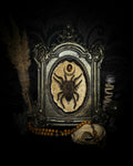 Sophistication — handmade gothic shadowbox, made to order. Real tarantula specimen on velvet background in ornate vintage-style frame with crystal accents and hand-finished metallic ornaments. Dark collectible wall decor, 22x30cm.
