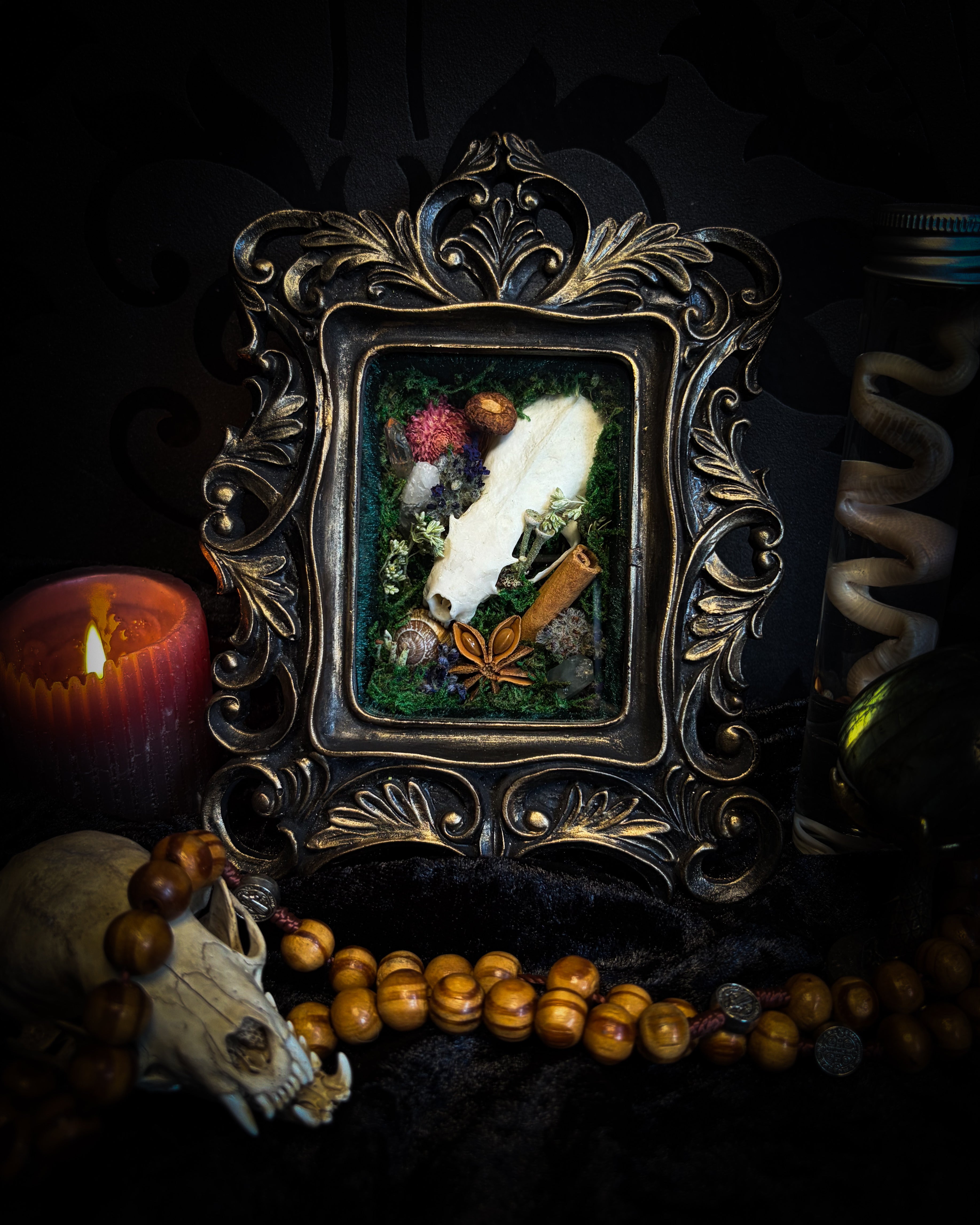 The Forest Keeps | Oddities