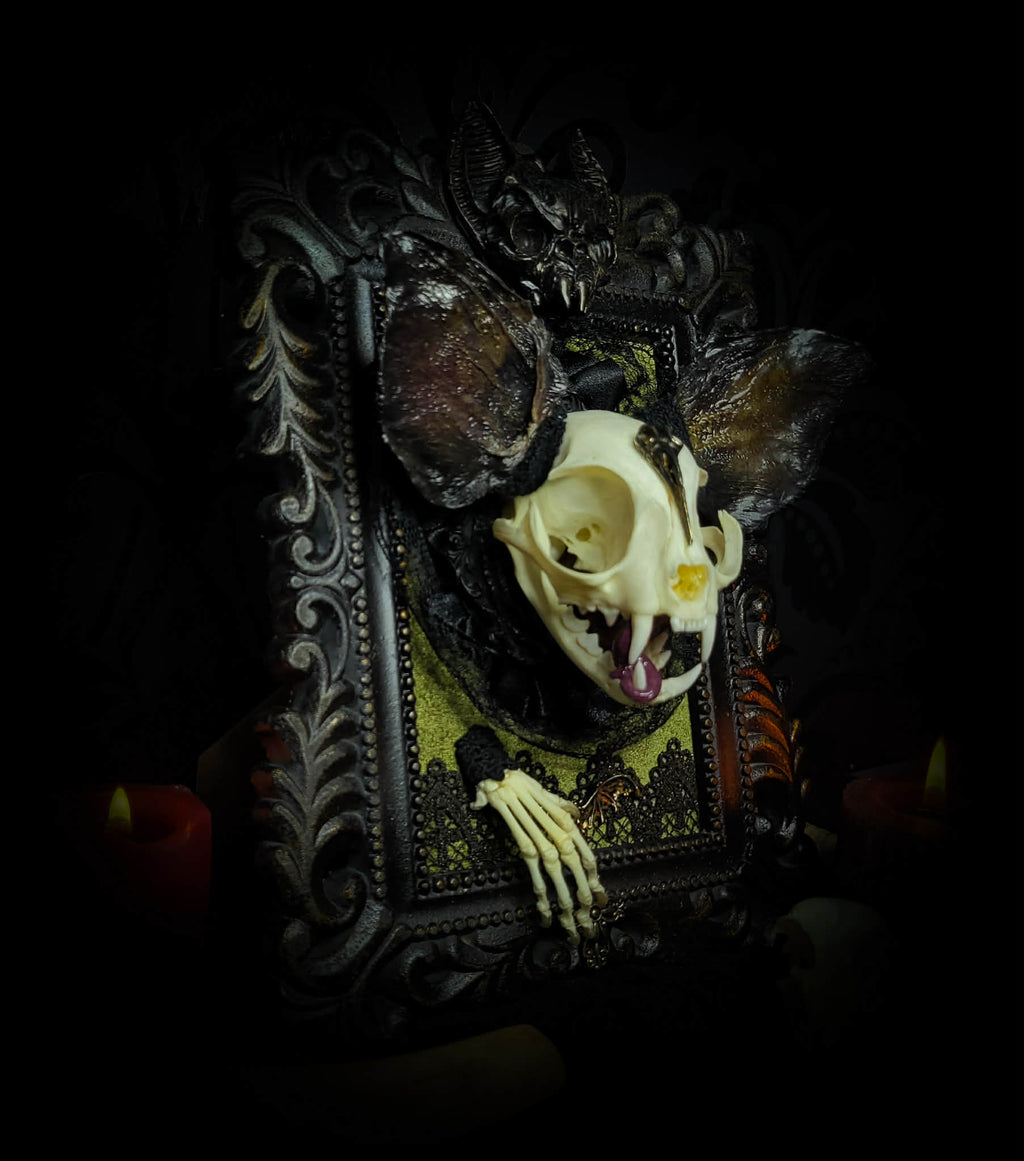 Bunny Kitten — handmade gothic shadowbox, made to order. Real cat skull with preserved bunny ears and paws, set on velvet background in ornate hand-finished frame with lace and decorative details. Dark whimsical collectible decor.