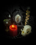 Handmade gothic small relic — mummified bird in ornate black baroque frame with pentacle symbols and snake skin background