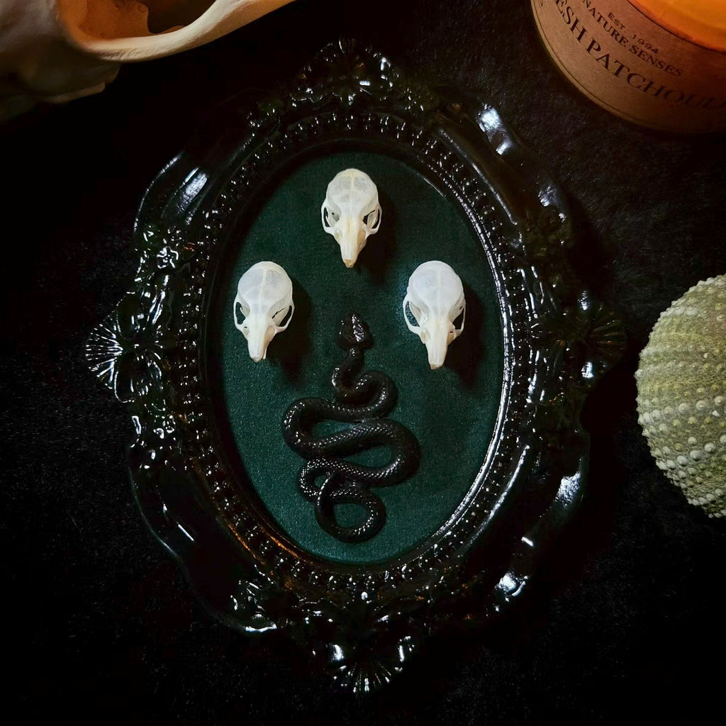 Handmade gothic wall frame featuring three real mouse skulls and a snake ornament, set against a dark velvet background. Ornate gothic frame, minimalist symmetrical composition with a dark ritual-inspired aesthetic. One-of-a-kind handcrafted piece, 12x10cm | Morbid Oddities