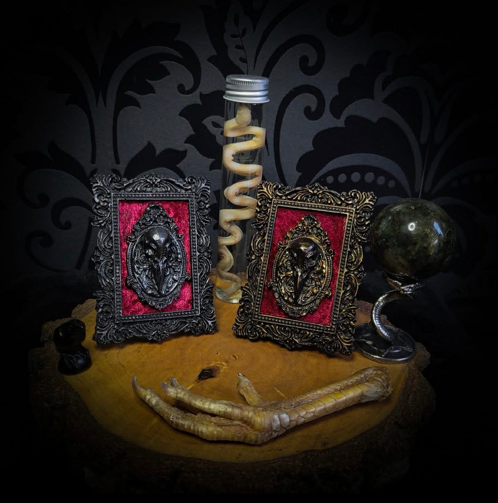 Corvusum Reliquary — handmade gothic shadowbox, made to order. Detailed handcrafted raven in ornate gothic frame on velvet background. Dark macabre wall and altar decor, 10x7.5cm.