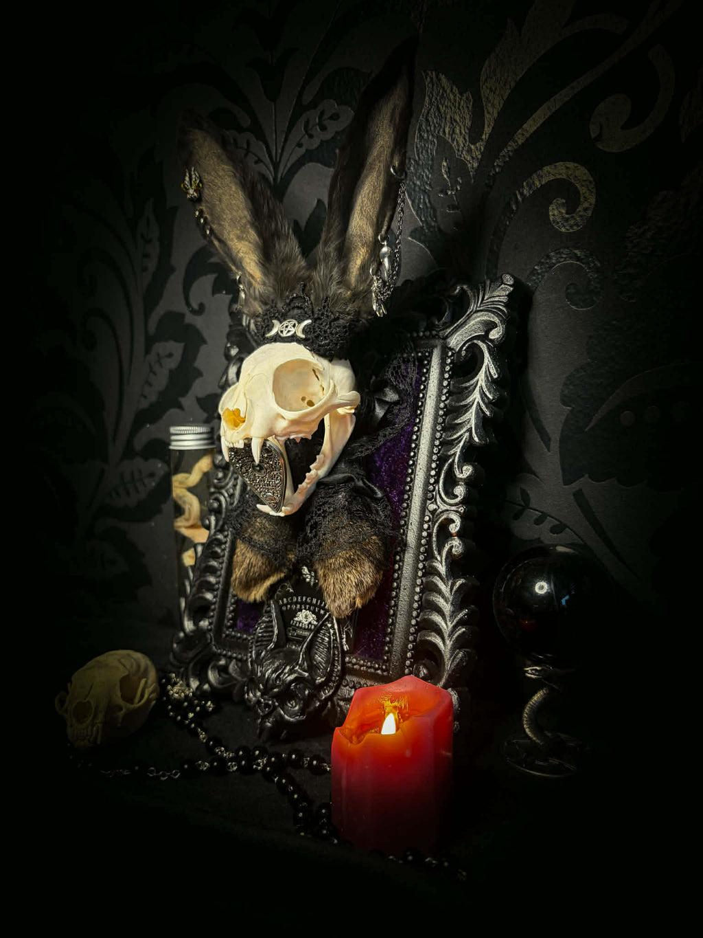 Bunny Kitten — handmade gothic shadowbox, made to order. Real cat skull with preserved bunny ears and paws, set on velvet background in ornate hand-finished frame with lace and decorative details. Dark whimsical collectible decor.