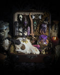 Deity Devotion Casket — handmade gothic deity altar casket, made to order. Fully custom devotional box with handcrafted wooden base, symbolic elements, spell jars, bones, crystals and ritual objects. Dark witchcraft commission by Morbid Oddities.