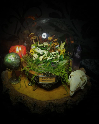 Decorative diorama with plants, skull, and globe on a dark background

handmade gothic glass dome sleeping skeleton prince enchanted forest moss mushrooms fluorite crystals dark woodland decor