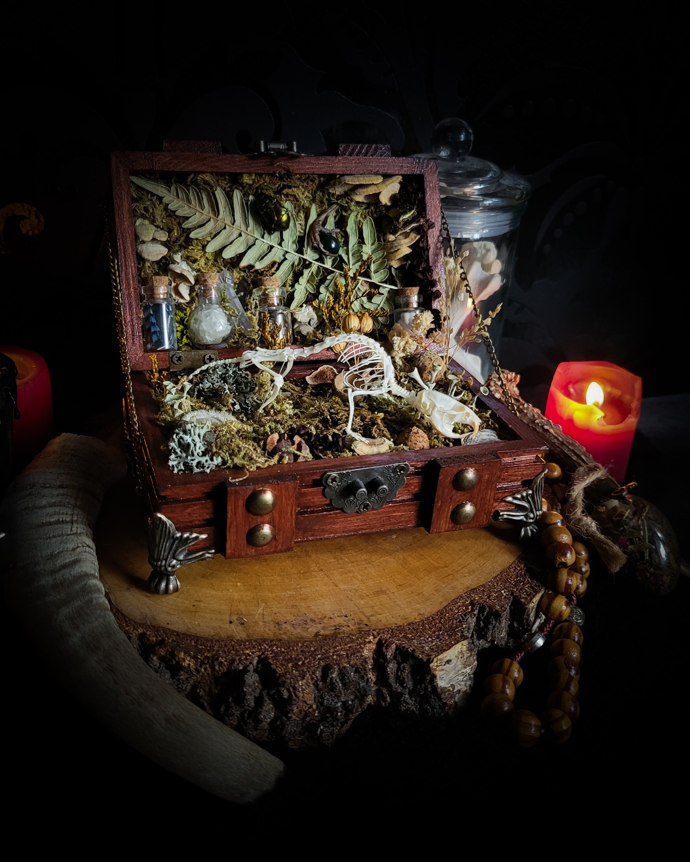 Wild Familiar Woodland — gothic relic box with real mouse skeleton, forest botanicals and minerals, handmade dark decor
