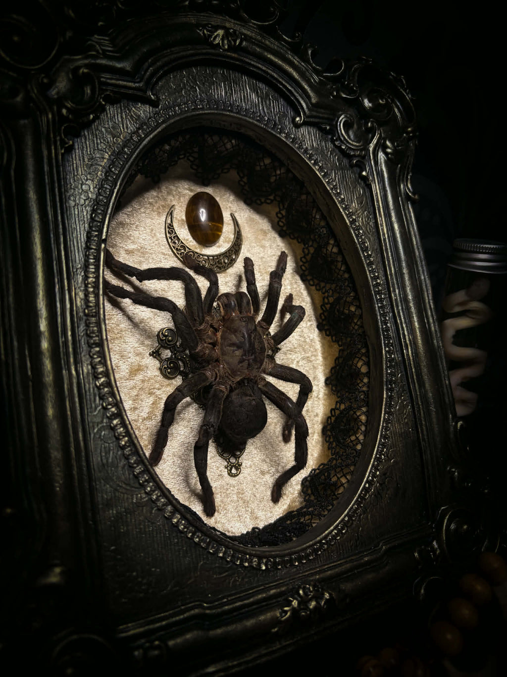 Sophistication — handmade gothic shadowbox, made to order. Real tarantula specimen on velvet background in ornate vintage-style frame with crystal accents and hand-finished metallic ornaments. Dark collectible wall decor, 22x30cm.