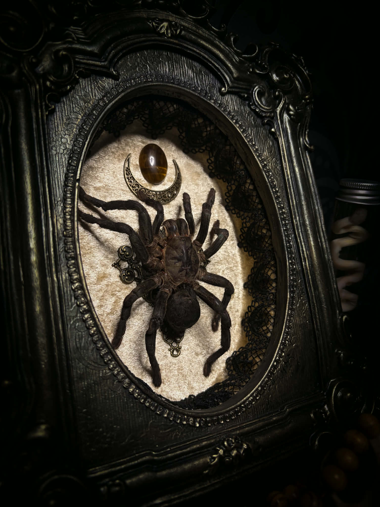 Sophistication — handmade gothic shadowbox, made to order. Real tarantula specimen on velvet background in ornate vintage-style frame with crystal accents and hand-finished metallic ornaments. Dark collectible wall decor, 22x30cm.