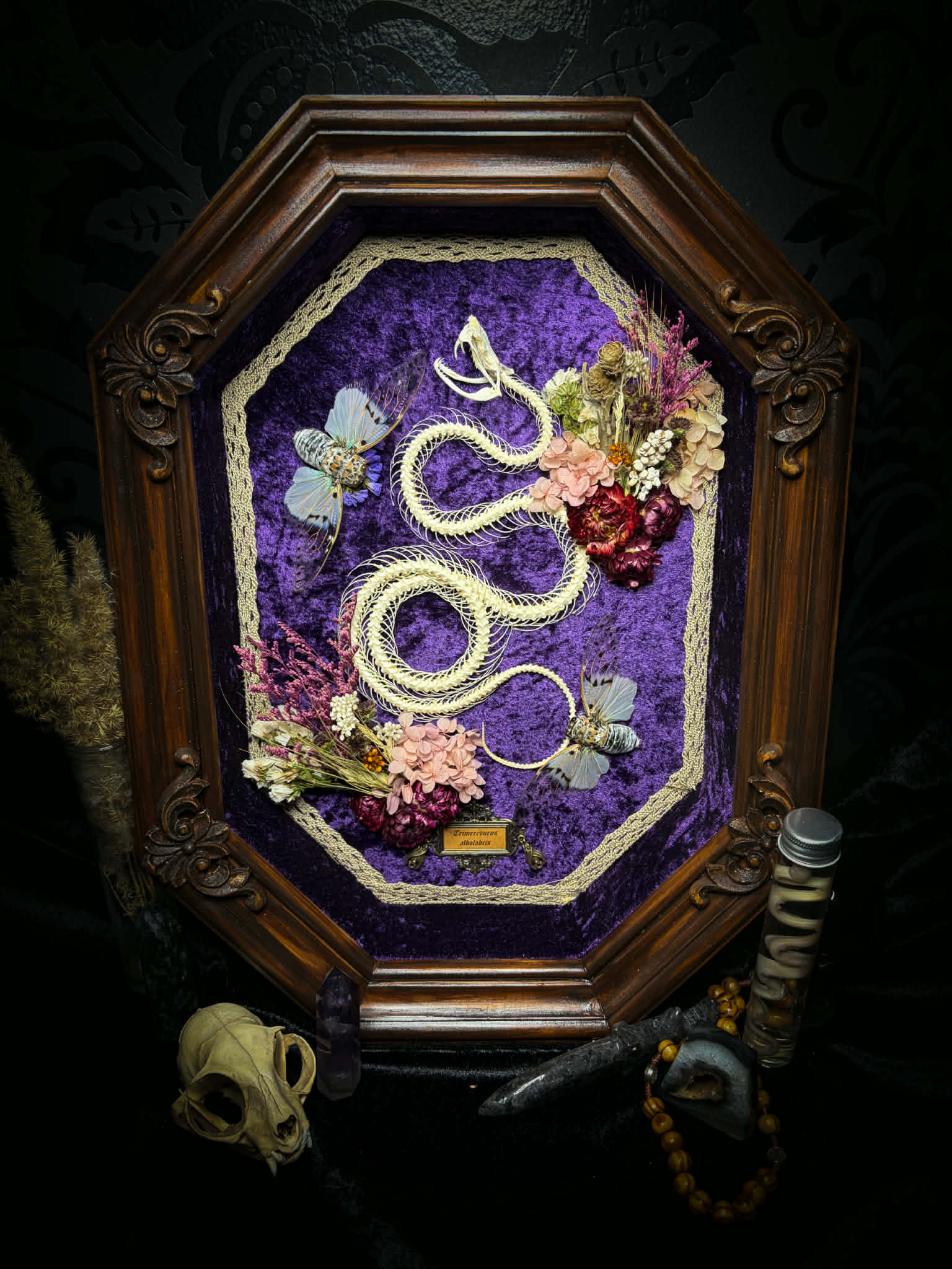 Gothic shadowbox — articulated snake skeleton on deep violet velvet, preserved florals, ghost cicadas, baroque wooden frame with gold accents, 45x35cm