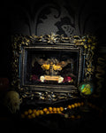 Death's Messenger | handmade gothic shadowbox with Acherontia atropos death's-head hawk-moth, dried roses, mini skulls, black and gold baroque frame | Morbid Oddities
