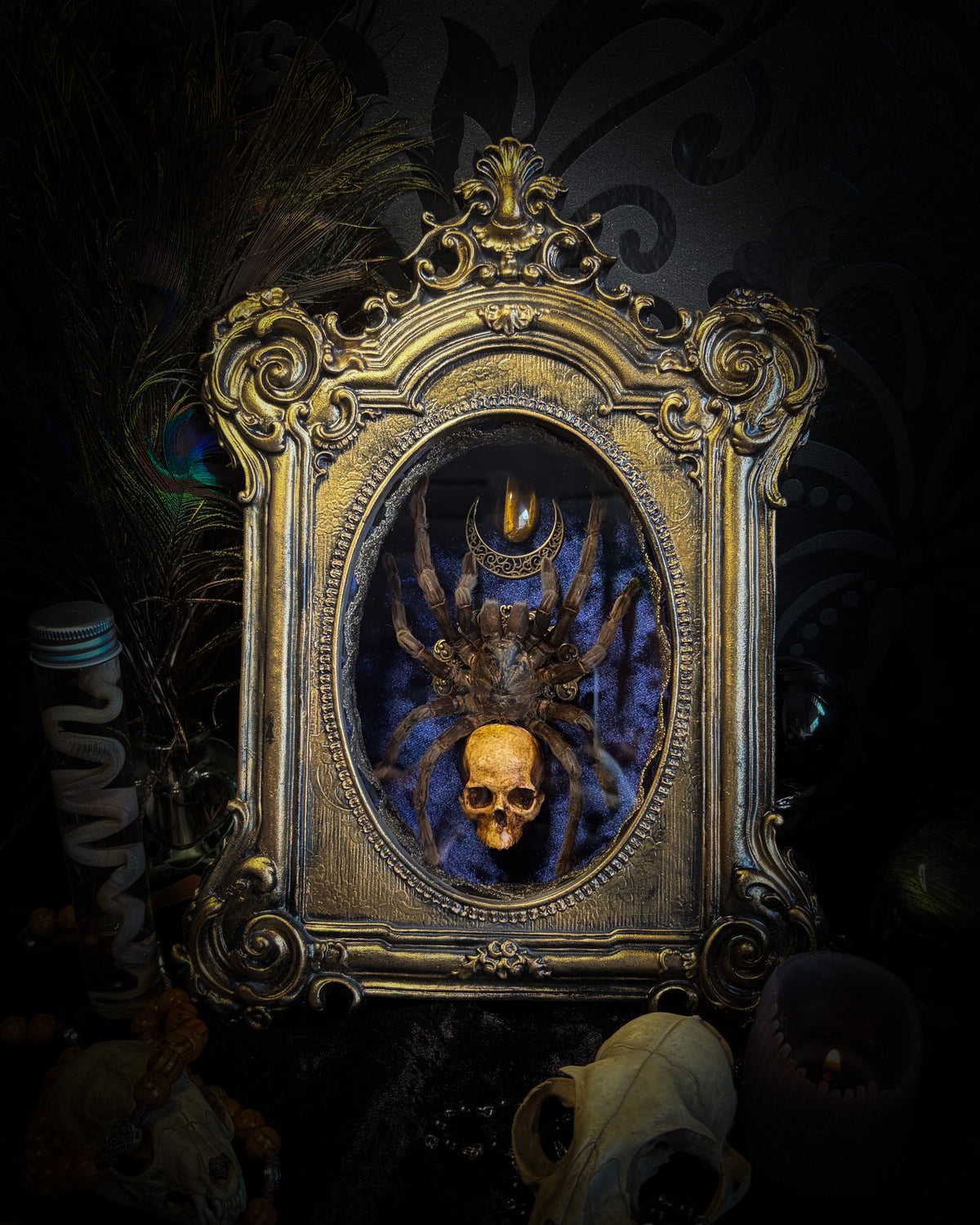 Handmade gothic shadowbox with real tarantula, hand-cast skull, crescent moon and tiger's eye, navy velvet | Morbid Oddities