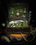 Peculiar Alchemist — one-of-a-kind handmade witchy fairycore reliquary in a hand-stained wooden cabinet with a mole skeleton, preserved hornet, rose quartz orb, turquoise, miniature books, moss and alchemical curiosities.
