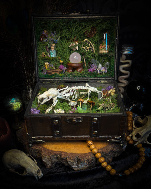 Peculiar Alchemist — one-of-a-kind handmade witchy fairycore reliquary in a hand-stained wooden cabinet with a mole skeleton, preserved hornet, rose quartz orb, turquoise, miniature books, moss and alchemical curiosities.