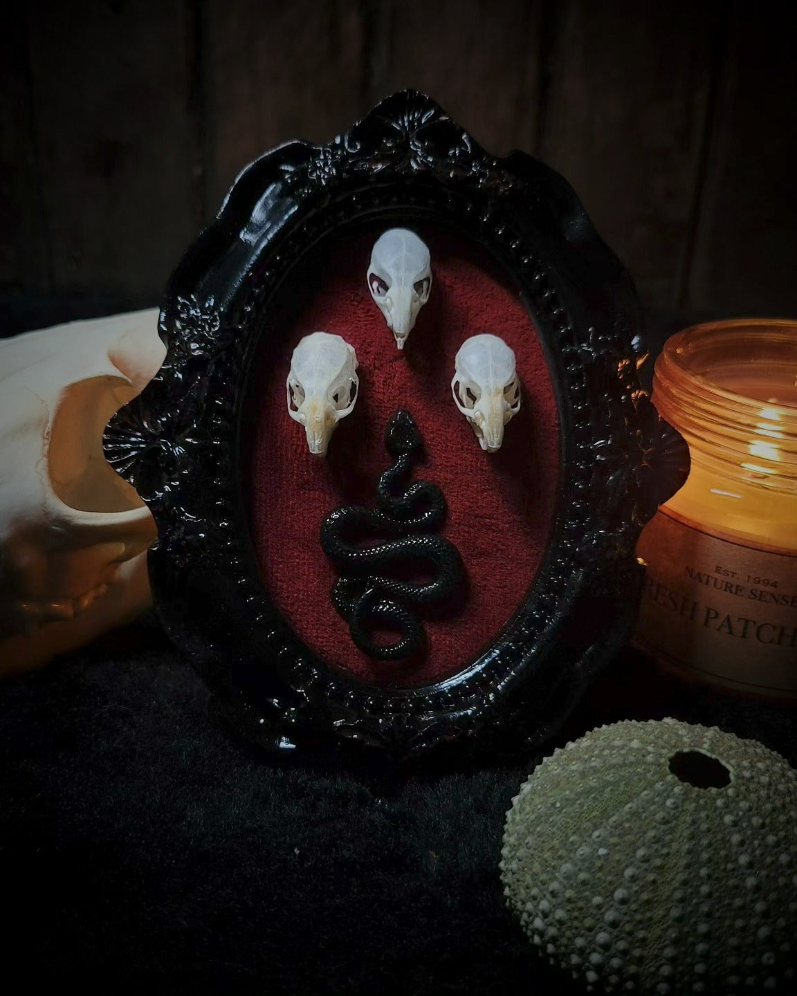 Handmade gothic wall frame featuring three real mouse skulls and a snake ornament, set against a dark velvet background. Ornate gothic frame, minimalist symmetrical composition with a dark ritual-inspired aesthetic. One-of-a-kind handcrafted piece, 12x10cm | Morbid Oddities