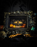 Death's Lantern | handmade gothic shadowbox with Acherontia atropos death's-head hawk-moth, dried pumpkins and flowers, black and gold baroque frame | Morbid Oddities

