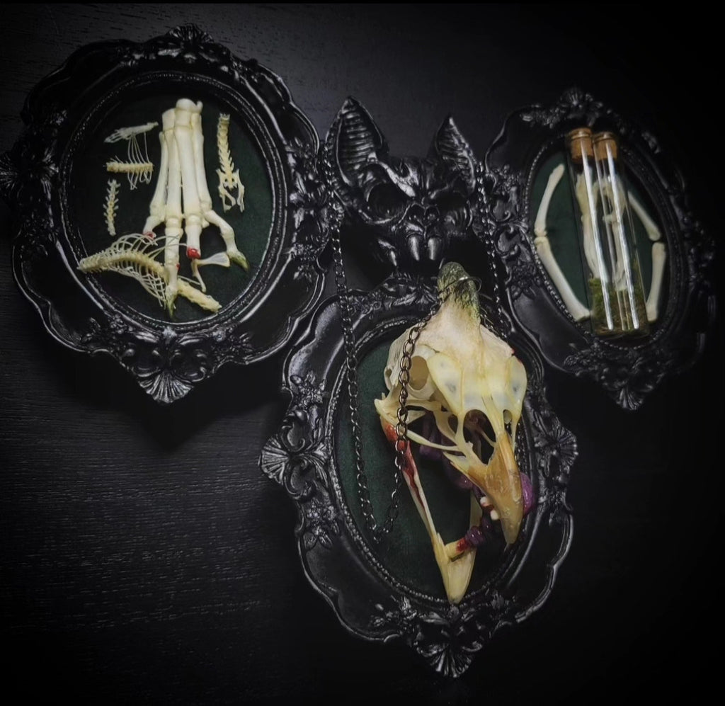 Triptych — handmade gothic triptych shadowbox, made to order. Set of 3 conjoined ornate gothic frames with real bones, skulls and decorative elements, fully hand-assembled. Dark collectible wall decor commission by Morbid Oddities.