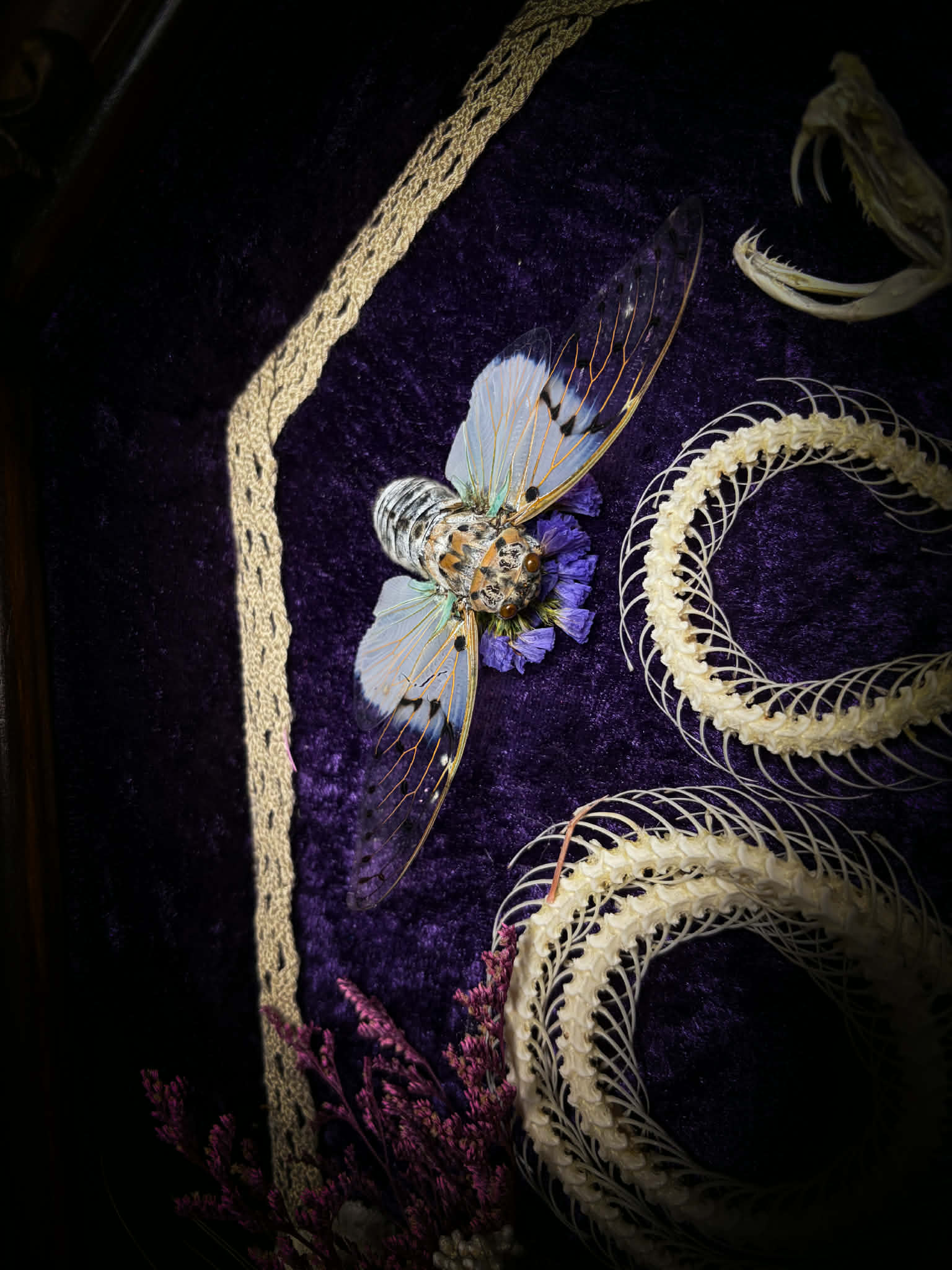 Gothic shadowbox — articulated snake skeleton on deep violet velvet, preserved florals, ghost cicadas, baroque wooden frame with gold accents, 45x35cm