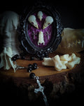 Velora | Small Relics — handmade gothic wall decor with two real bird skulls, mouse skull and rat spine section in hand-painted frame on deep purple velvet, dark macabre aesthetic, 12x10cm