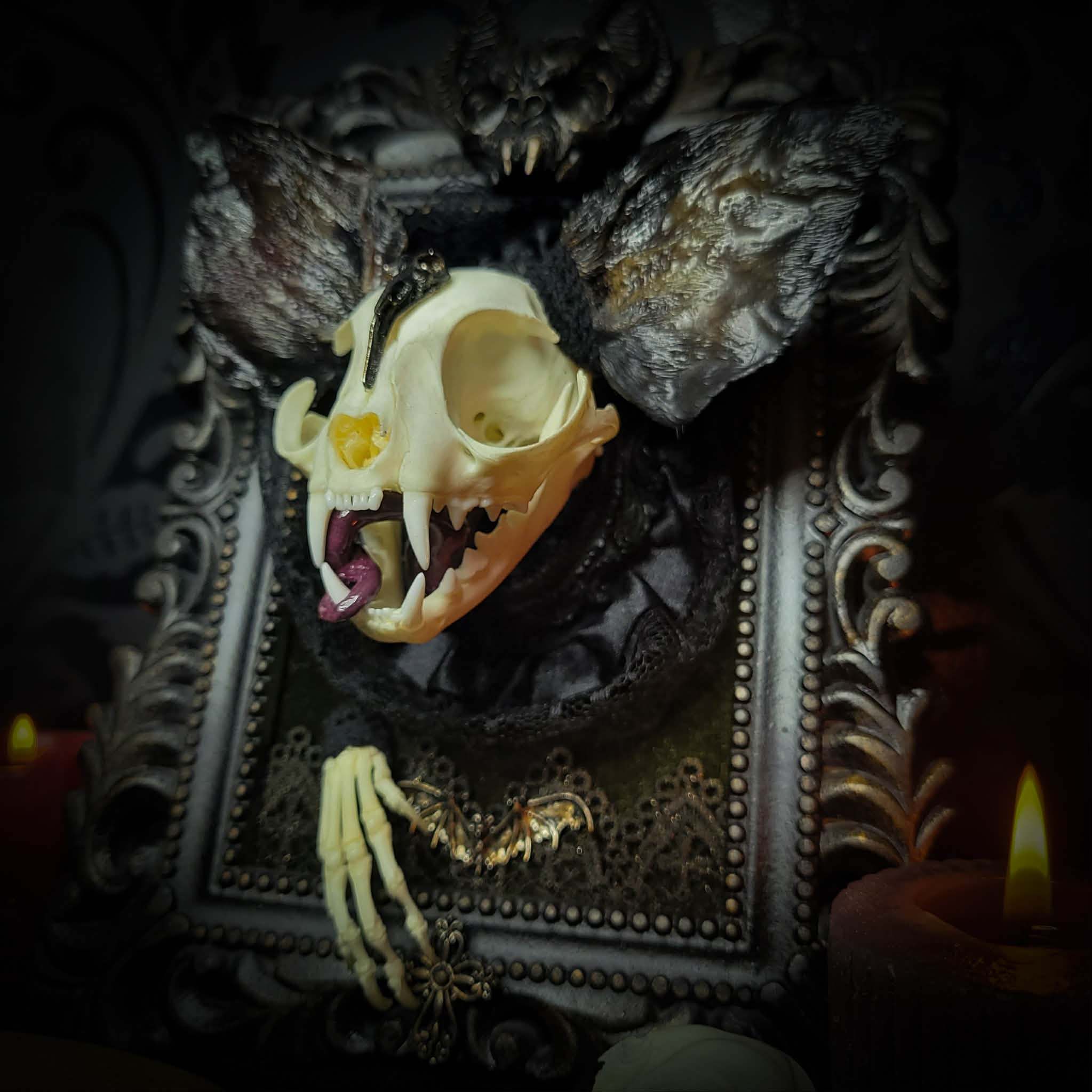Bunny Kitten — handmade gothic shadowbox, made to order. Real cat skull with preserved bunny ears and paws, set on velvet background in ornate hand-finished frame with lace and decorative details. Dark whimsical collectible decor.