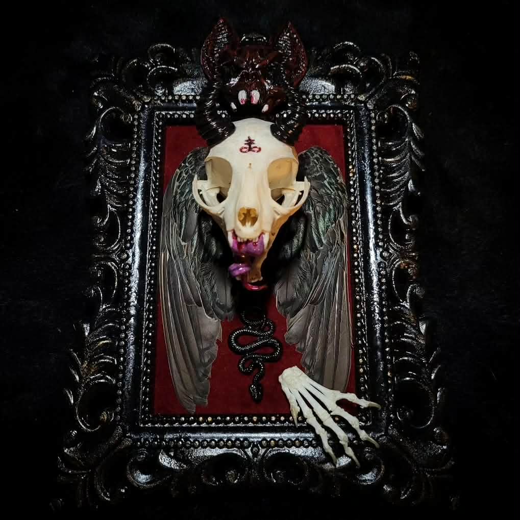 Bunny Kitten — handmade gothic shadowbox, made to order. Real cat skull with preserved bunny ears and paws, set on velvet background in ornate hand-finished frame with lace and decorative details. Dark whimsical collectible decor.