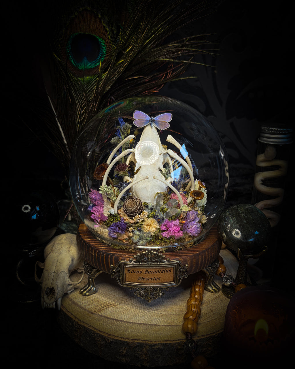 Lucus Incantatus Desertus — handmade glass dome with young rabbit skull holding a spell jar, Common Blue butterfly resting on the skull's nose, surrounded by dried carnations, cornflowers, artichoke, moss and miniature mushrooms. Whimsical witchy decor by Morbid Oddities.