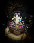 Lucus Incantatus Desertus — handmade glass dome with young rabbit skull holding a spell jar, Common Blue butterfly resting on the skull's nose, surrounded by dried carnations, cornflowers, artichoke, moss and miniature mushrooms. Whimsical witchy decor by Morbid Oddities.