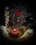 Decorative still life with a candle, skull, and framed picture on a dark background Handmade gothic wall frame featuring a detailed bat centerpiece set on deep blood-red velvet, enclosed in an ornate baroque-style frame. Dramatic, ritual-inspired made-to-order piece with rich crimson velvet and dark gothic aesthetic, 12.5x10cm | Morbid Oddities