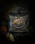 Handmade gothic shadowbox with preserved Pyrops gunji lantern bug, purple velvet and ornate black frame | Morbid Oddities