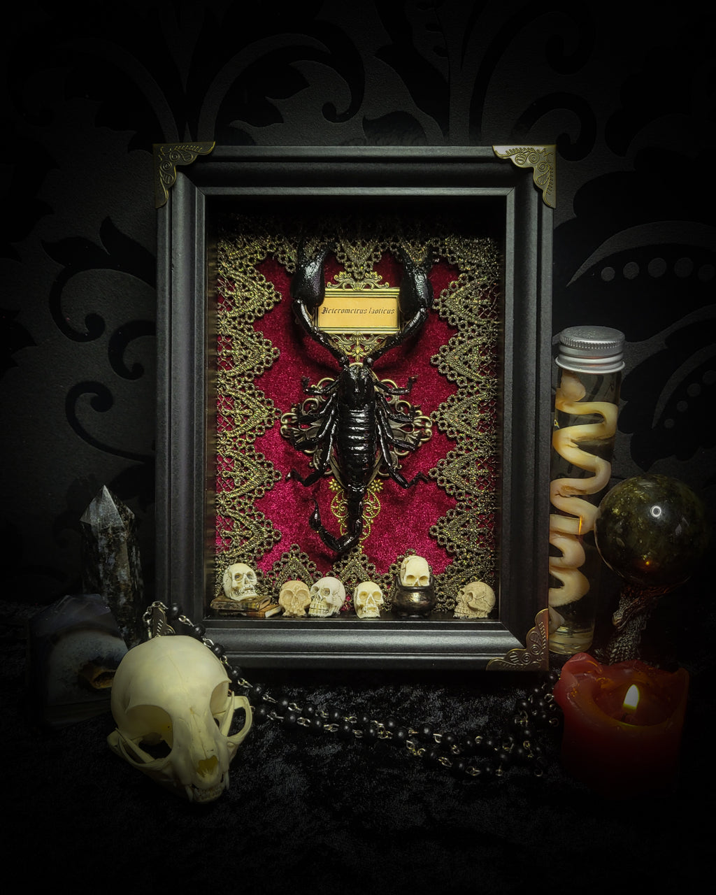 Venosa — handmade gothic shadowbox, made to order. Preserved scorpion on velvet background with ornate lace embellishments, decorative skull elements, miniature books, cauldron and Latin species nameplate. Dark ritual wall decor, 21x16cm.