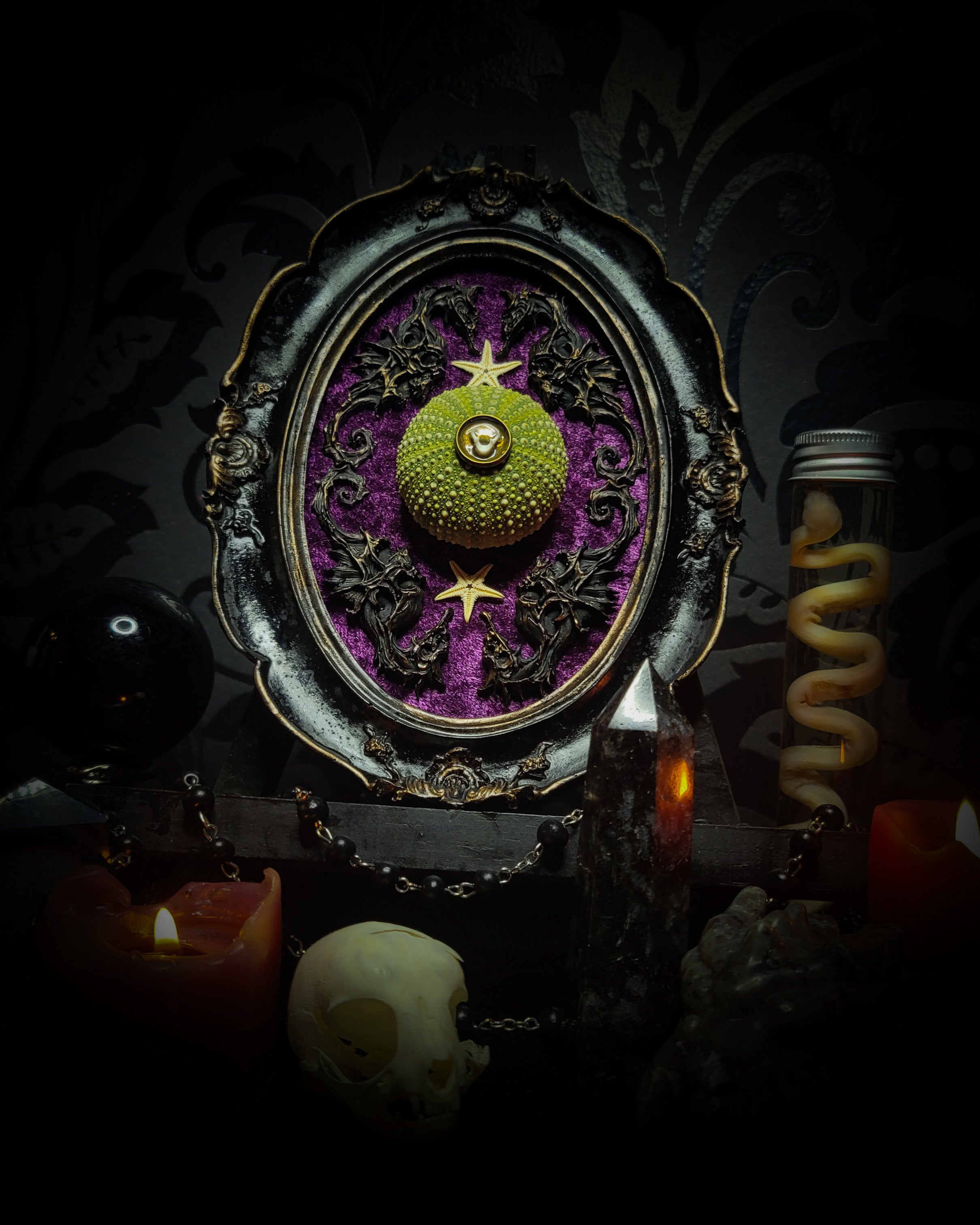 Decorative object with a green sphere and star design on a dark background Sea Urchin Frame | Witches — handmade gothic wall decor with ethically sourced sea urchin skeleton, preserved starfish, four seahorses and crushed purple velvet in aged hand-painted frame, 17.5x13cm