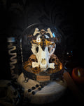 In Tenebris Noctis | Occult