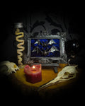 Nox Caelestis — handmade gothic shadowbox, made to order. Detailed handcrafted bat set in ornate decorative frame on deep blue velvet background. Nocturnal gothic wall decor, 12x9.5cm.
