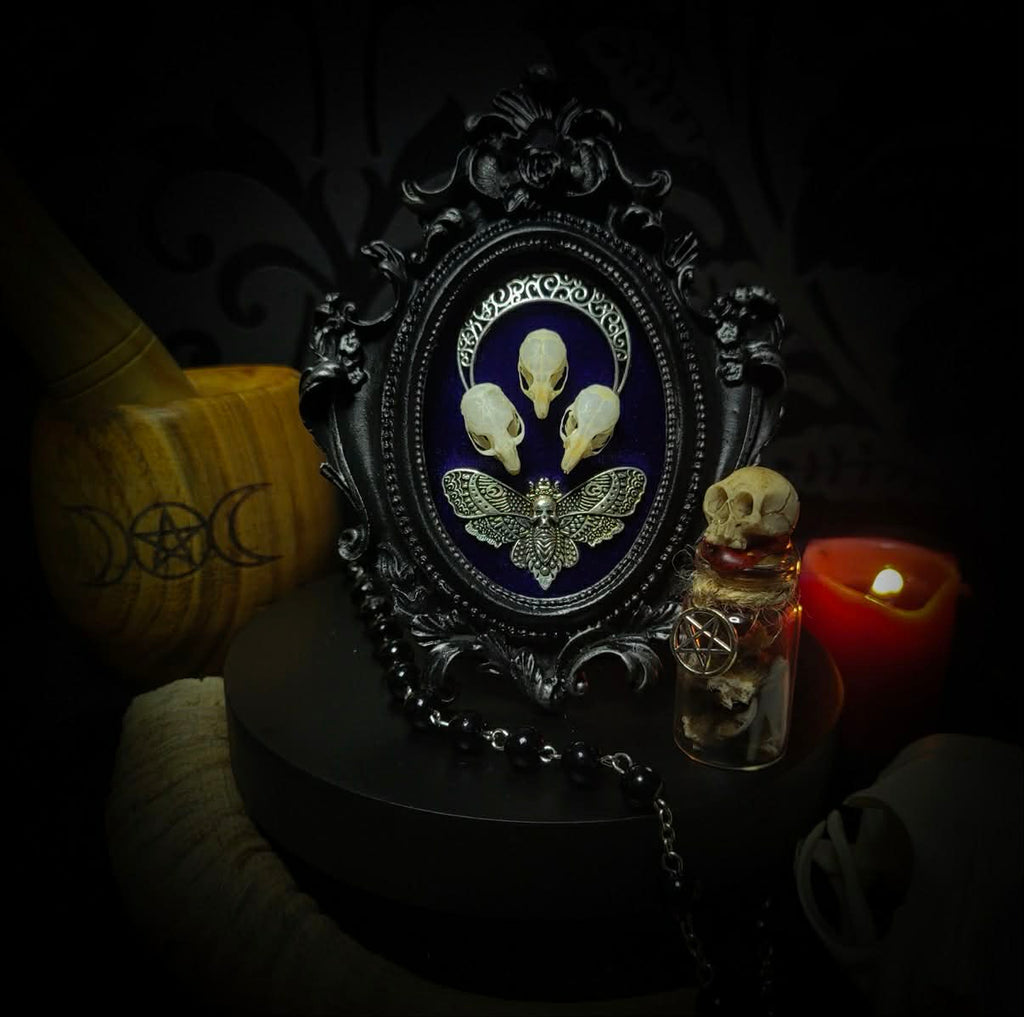 Mothica — handmade gothic shadowbox, made to order. Three real mouse skulls in ornate gothic frame on velvet background, with moth and moon ornament. Dark macabre wall decor, 13x10cm.