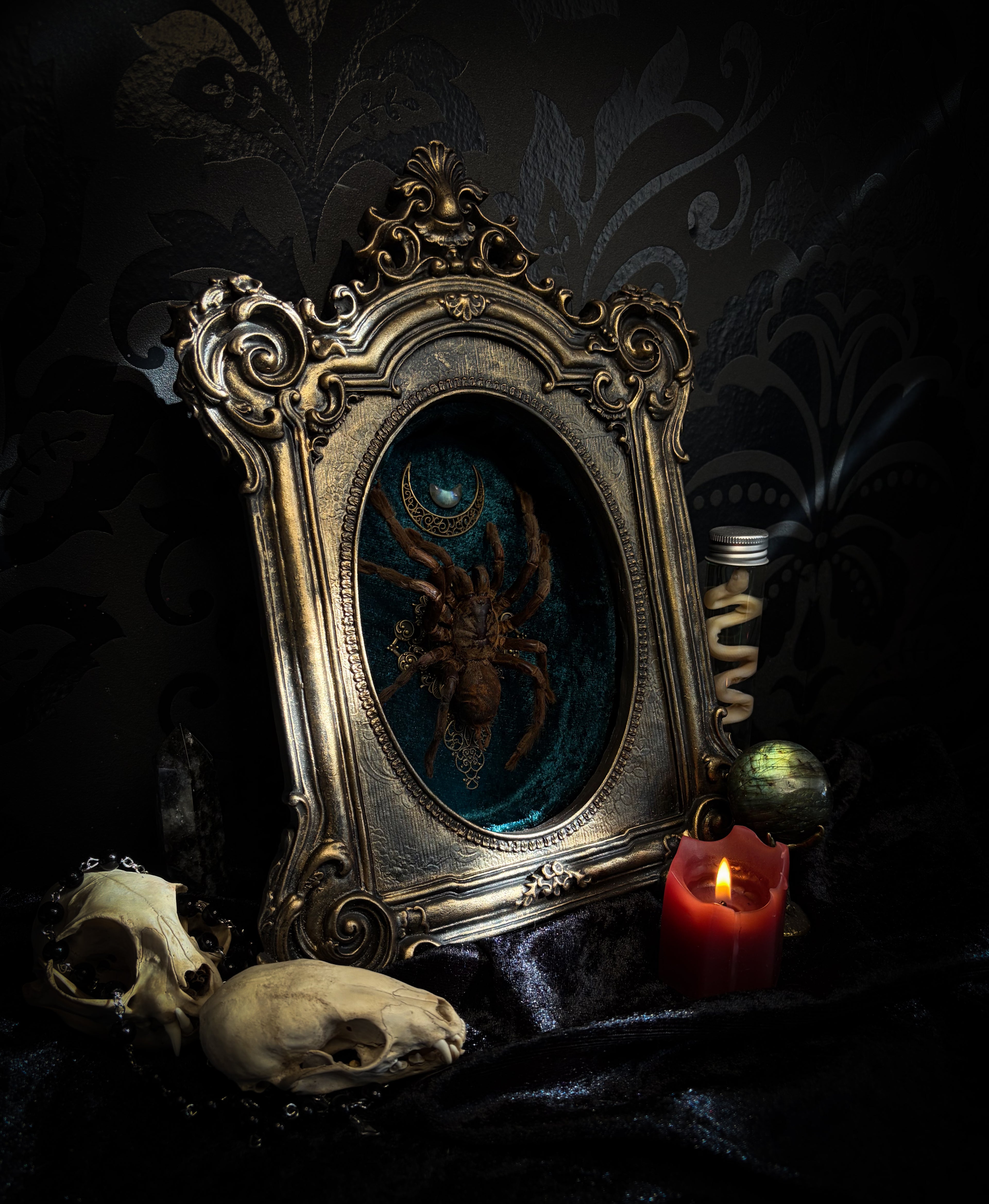 Sophistication — handmade gothic shadowbox, made to order. Real tarantula specimen on velvet background in ornate vintage-style frame with crystal accents and hand-finished metallic ornaments. Dark collectible wall decor, 22x30cm.