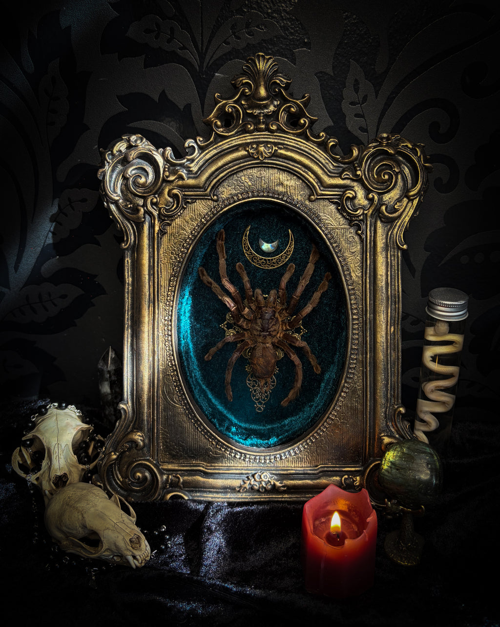 Sophistication — handmade gothic shadowbox, made to order. Real tarantula specimen on velvet background in ornate vintage-style frame with crystal accents and hand-finished metallic ornaments. Dark collectible wall decor, 22x30cm.