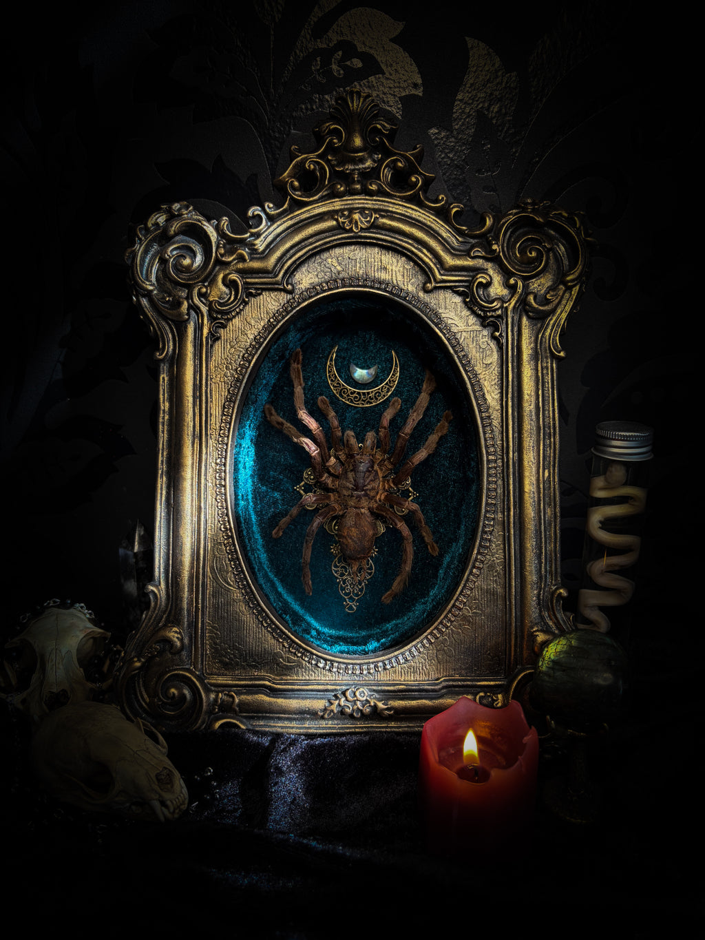 Sophistication — handmade gothic shadowbox, made to order. Real tarantula specimen on velvet background in ornate vintage-style frame with crystal accents and hand-finished metallic ornaments. Dark collectible wall decor, 22x30cm.