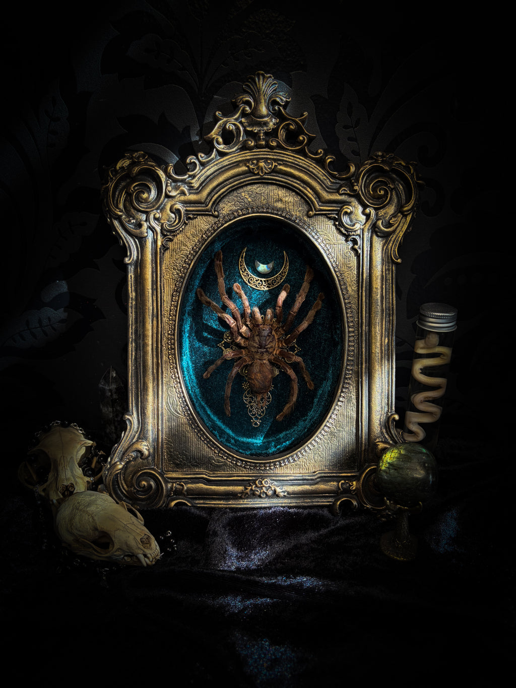 Sophistication — handmade gothic shadowbox, made to order. Real tarantula specimen on velvet background in ornate vintage-style frame with crystal accents and hand-finished metallic ornaments. Dark collectible wall decor, 22x30cm.