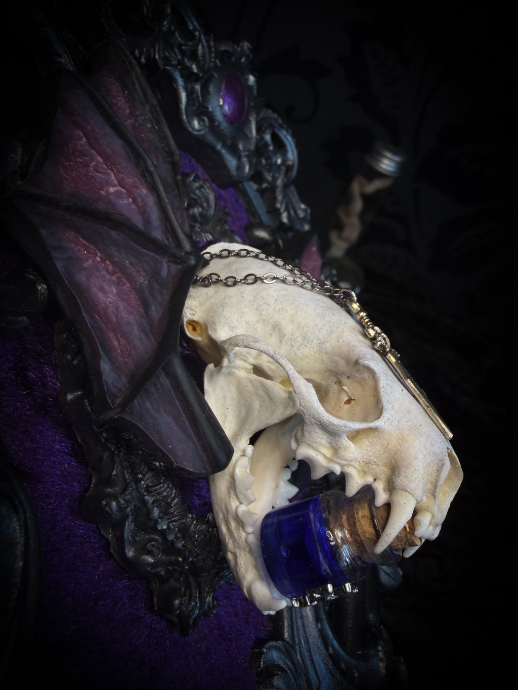 Handmade gothic wall decor with real mink skull, hand-cast bat wings, purple velvet and silver frame — Sepharius by Morbid Oddities