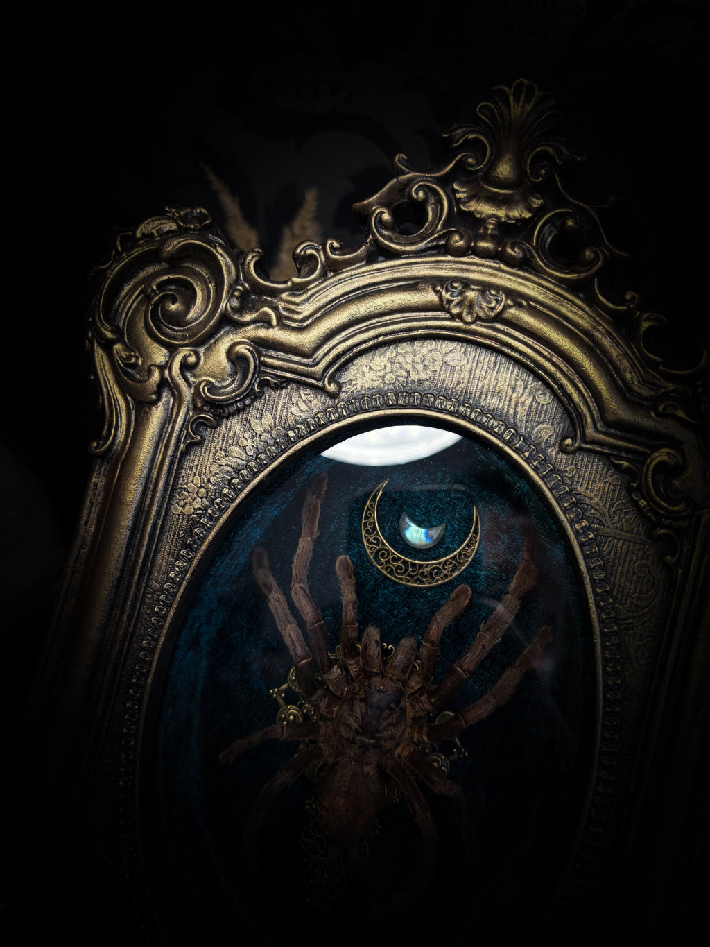Sophistication — handmade gothic shadowbox, made to order. Real tarantula specimen on velvet background in ornate vintage-style frame with crystal accents and hand-finished metallic ornaments. Dark collectible wall decor, 22x30cm.